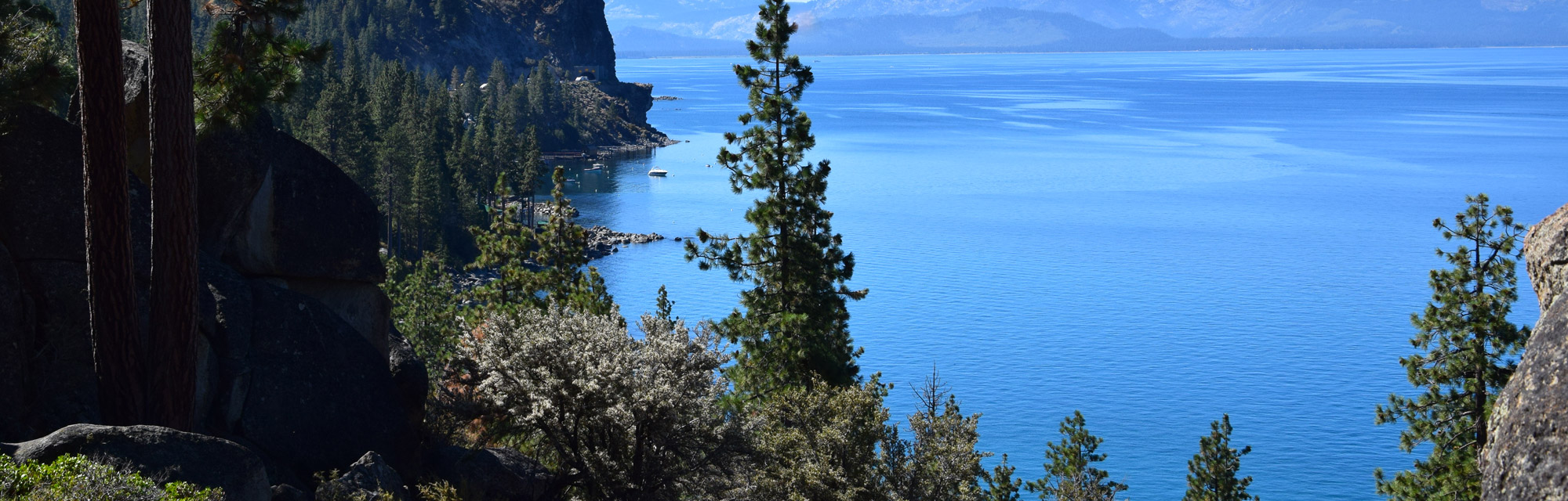 contact header slide